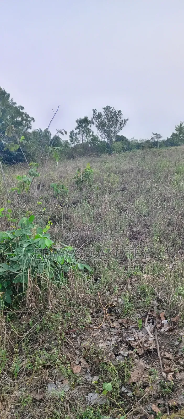 Two Plots of Registered Land for Sale
