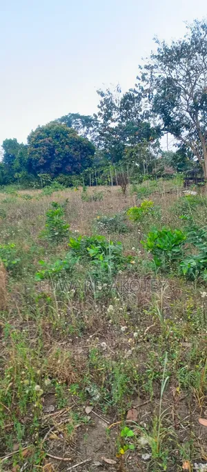Two Plots of Registered Land for Sale