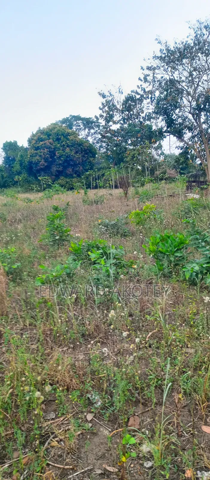 Two Plots of Registered Land for Sale