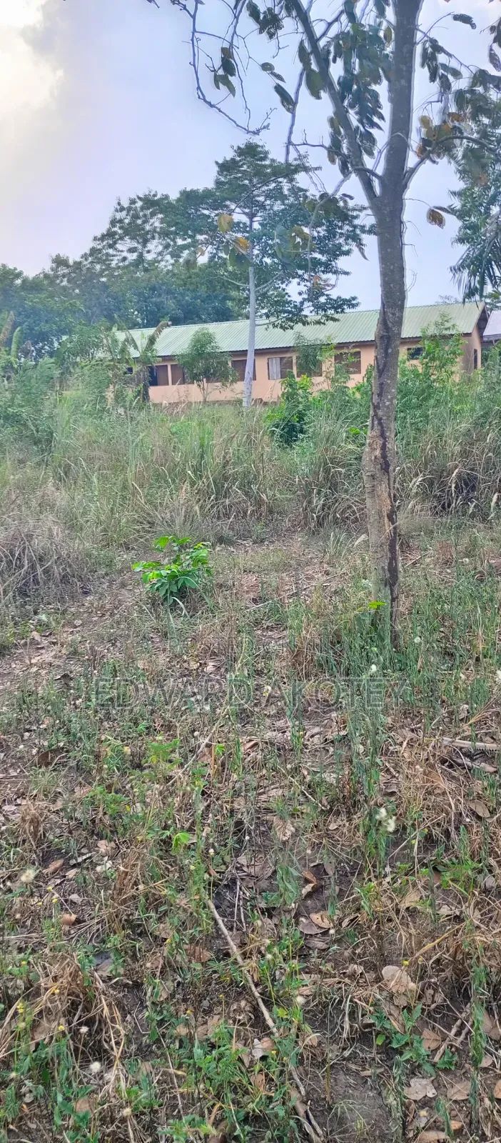 Two Plots of Registered Land for Sale