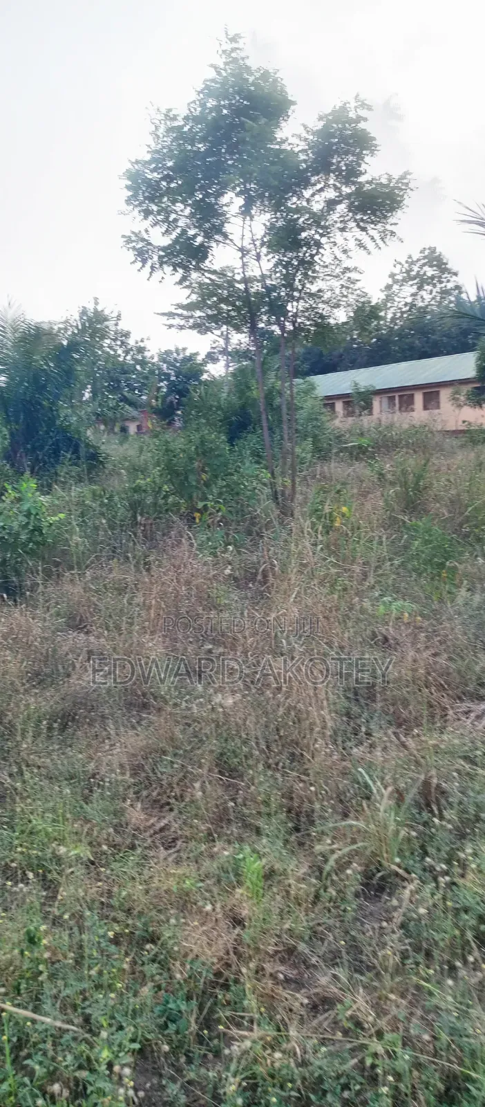 Two Plots of Registered Land for Sale