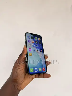 Apple iPhone 13 Pro Max 128 GB Green