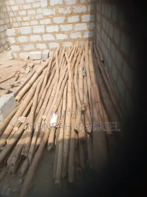Bamboo for Construction Is for Sale