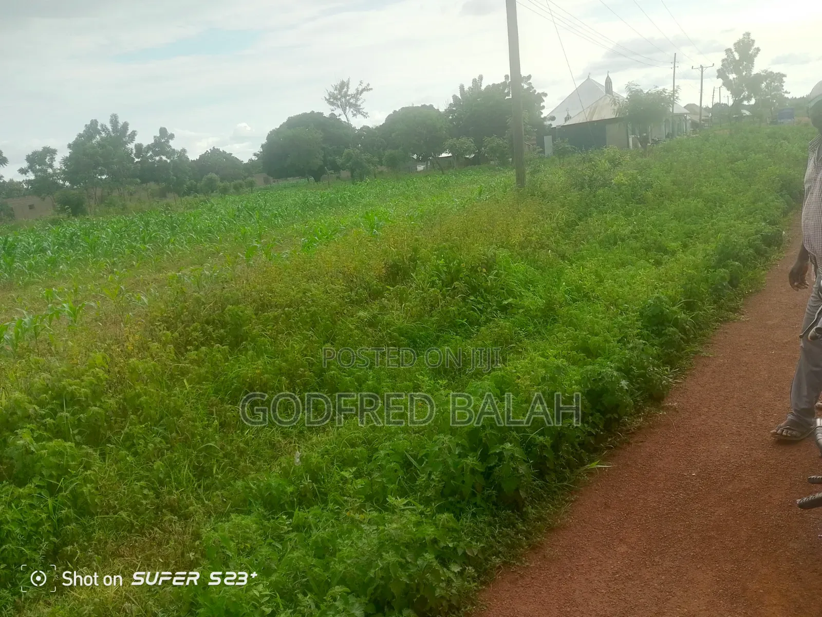 Land for Sale