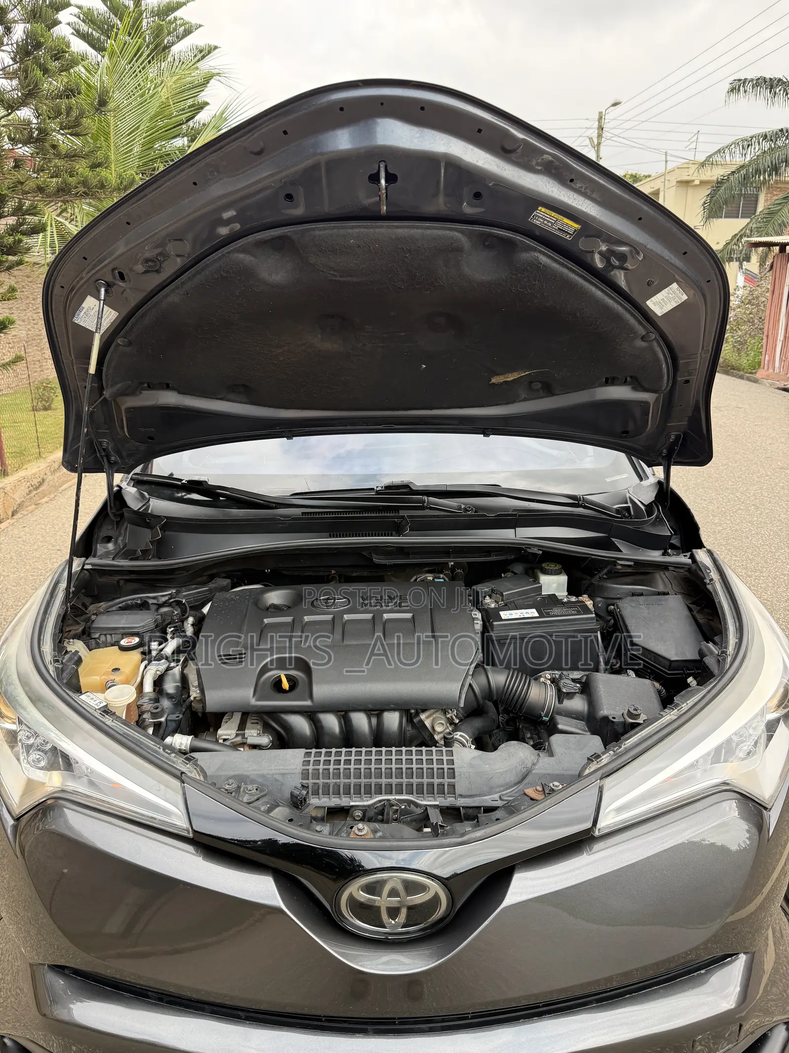 Toyota C-HR 2019 Gray
