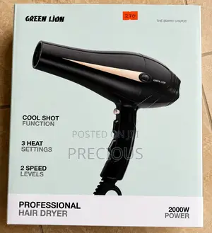 Green Lion Professional Hair Dryer