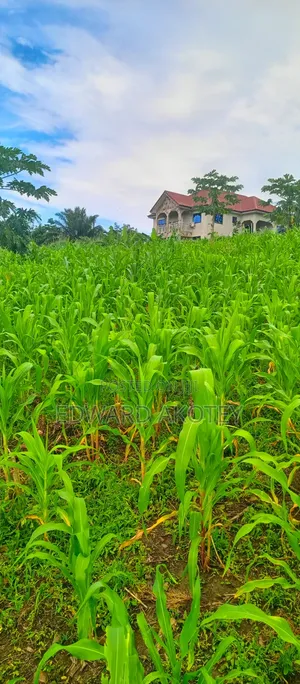 Residential or Commercial Plots on the Klefe Mountain for Sale