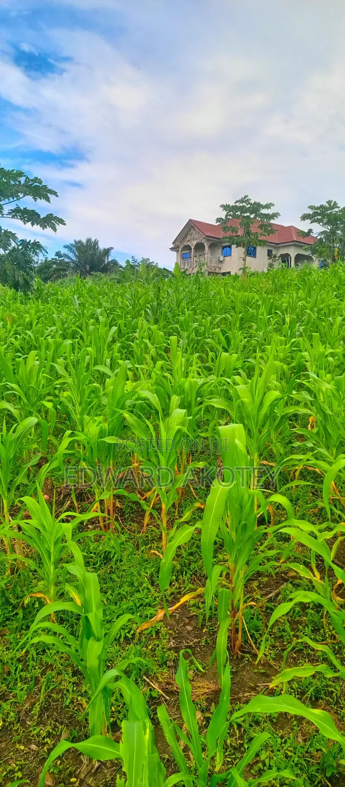 Residential or Commercial Plots on the Klefe Mountain for Sale