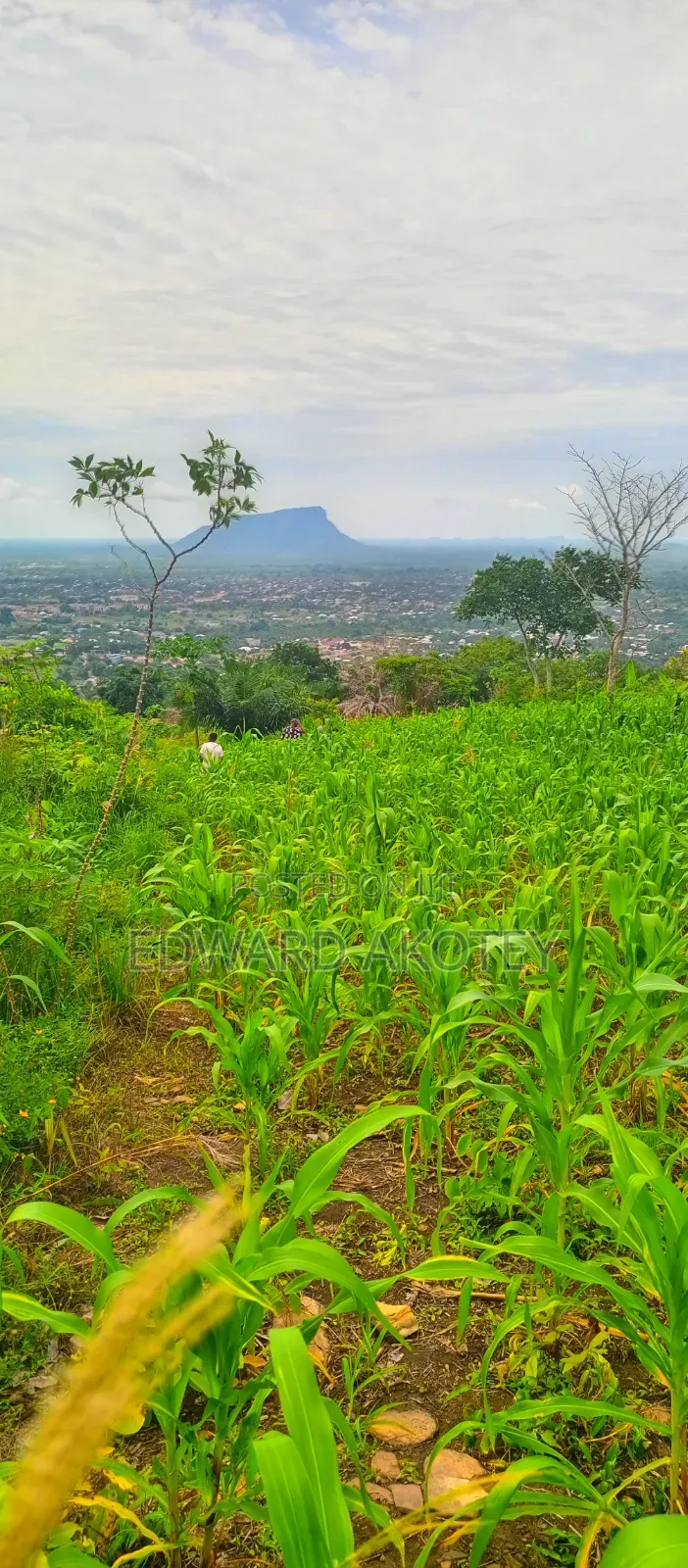 Residential or Commercial Plots on the Klefe Mountain for Sale
