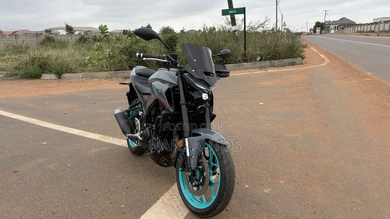 Yamaha FZ 2022 Gray