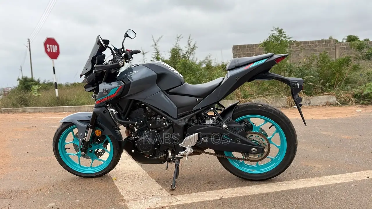 Yamaha FZ 2022 Gray