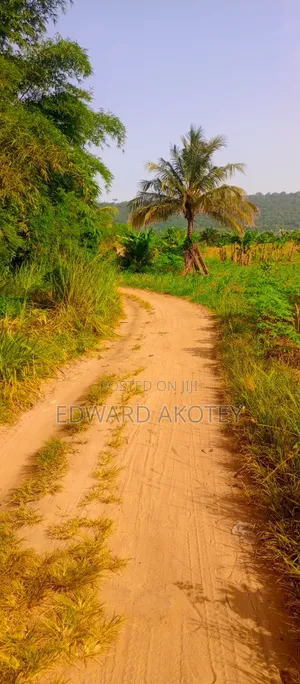 Farmland at Abutia for Sale