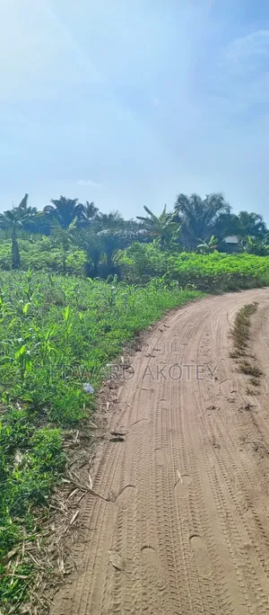 Farmland at Abutia for Sale