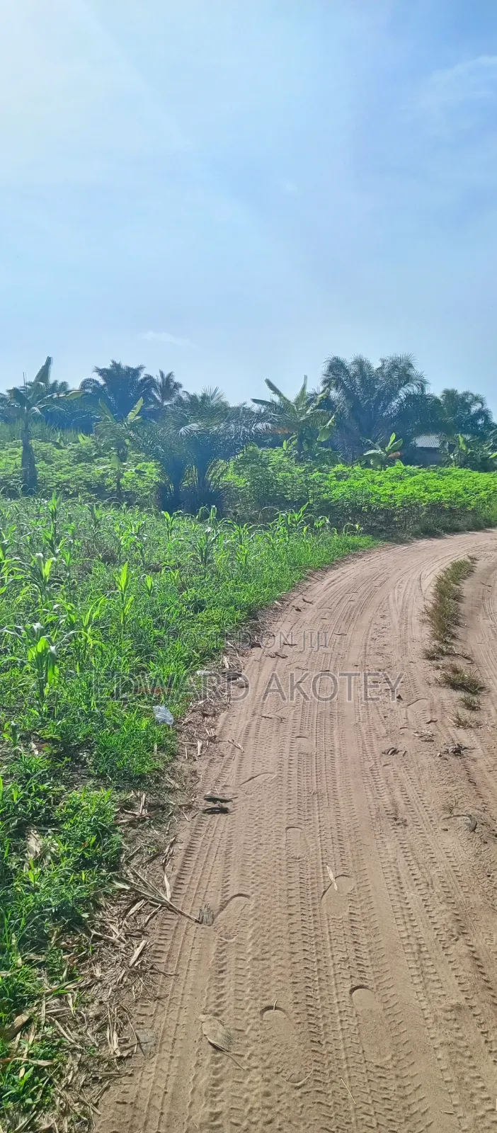 Farmland at Abutia for Sale