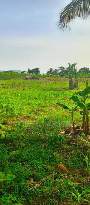 Farmland at Abutia for Sale
