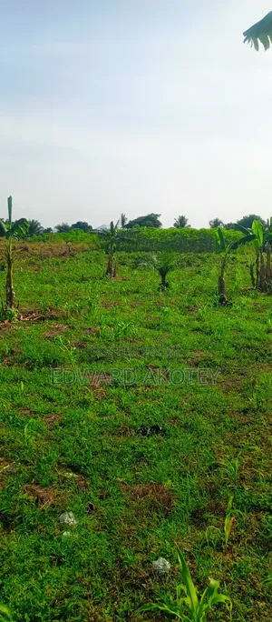 Farmland at Abutia for Sale
