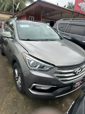Hyundai Santa Fe SE AWD 2017 Gray