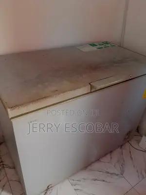 Neatly Used Deep Freezer Working Perfectly