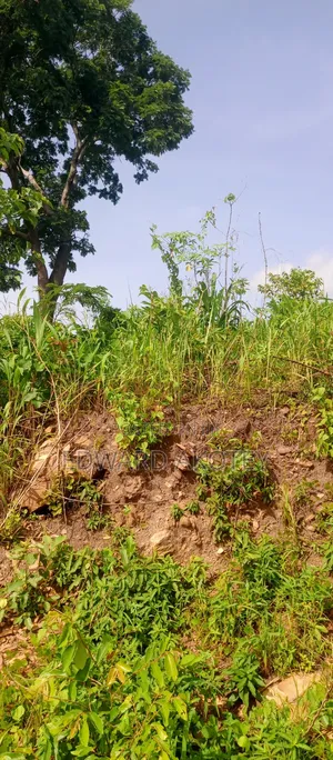 Two Plots of Registered Land for Sale