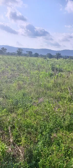 Two Plots of Registered Land for Sale at UHAS