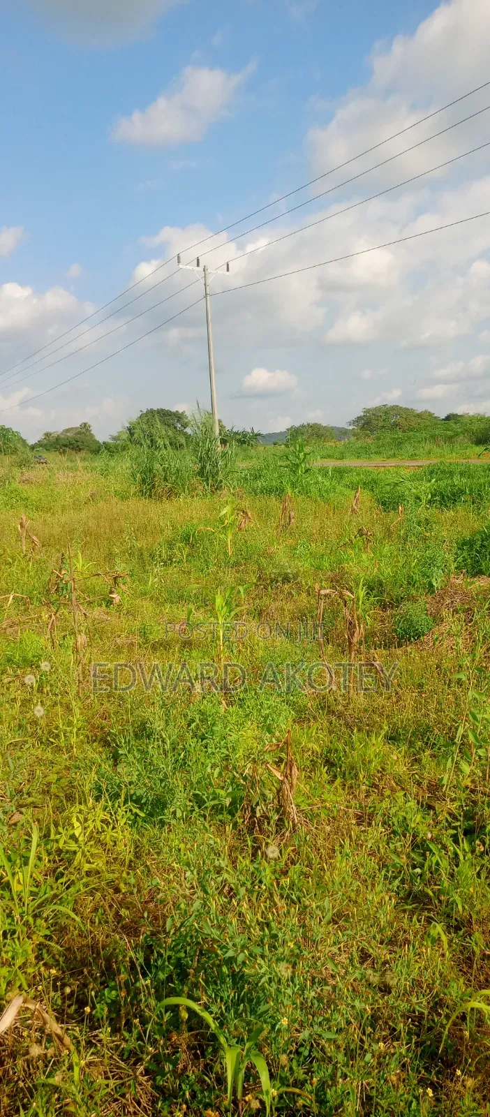 Two Plots of Registered Land for Sale at UHAS