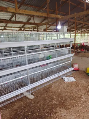 Battery Cages