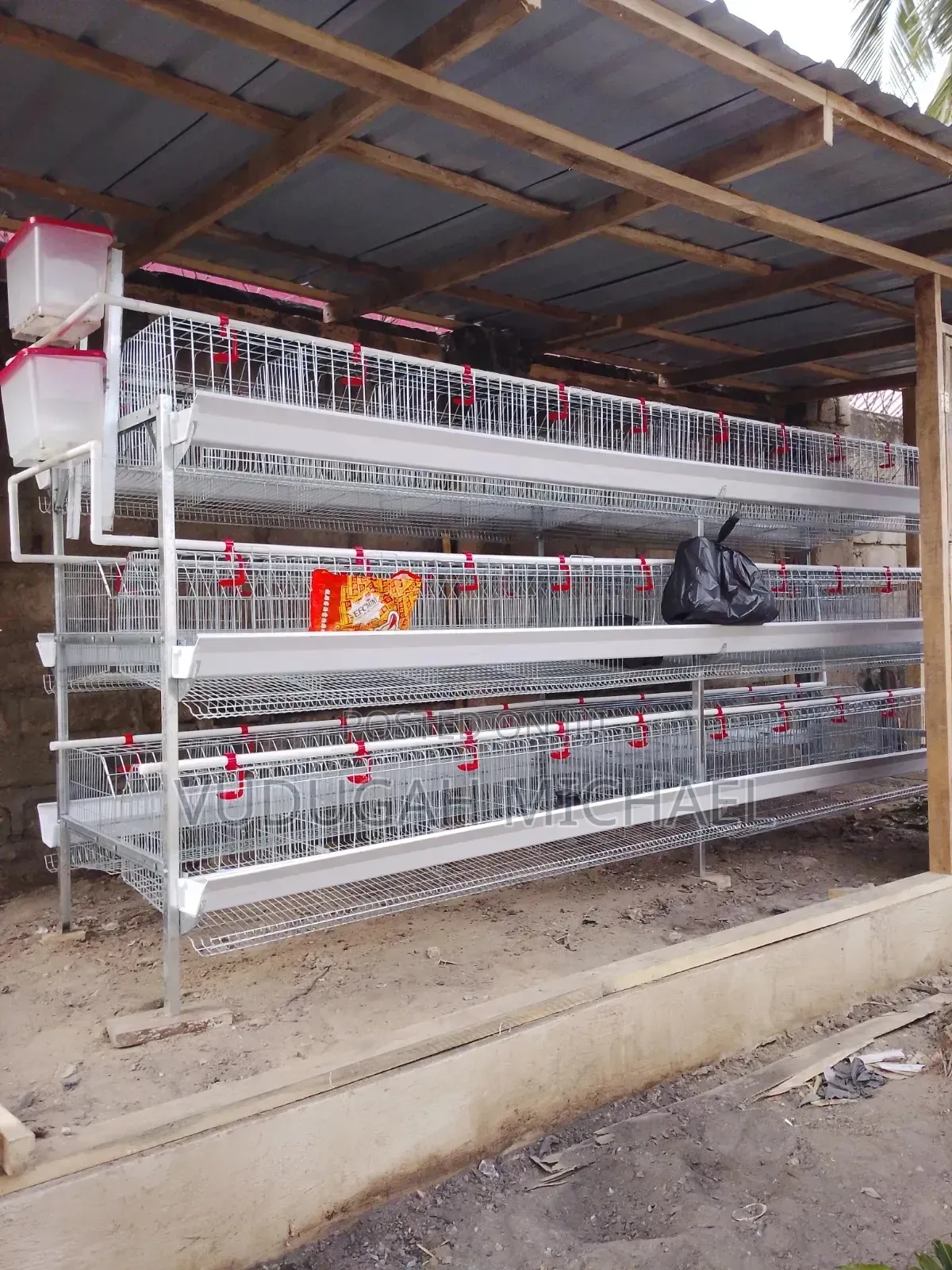 Battery Cages