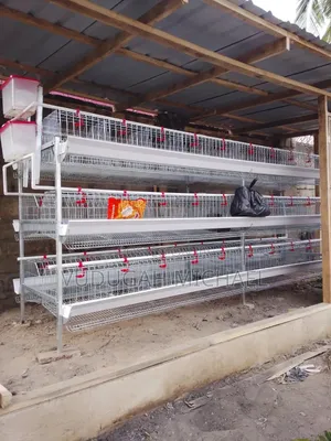 Battery Cages