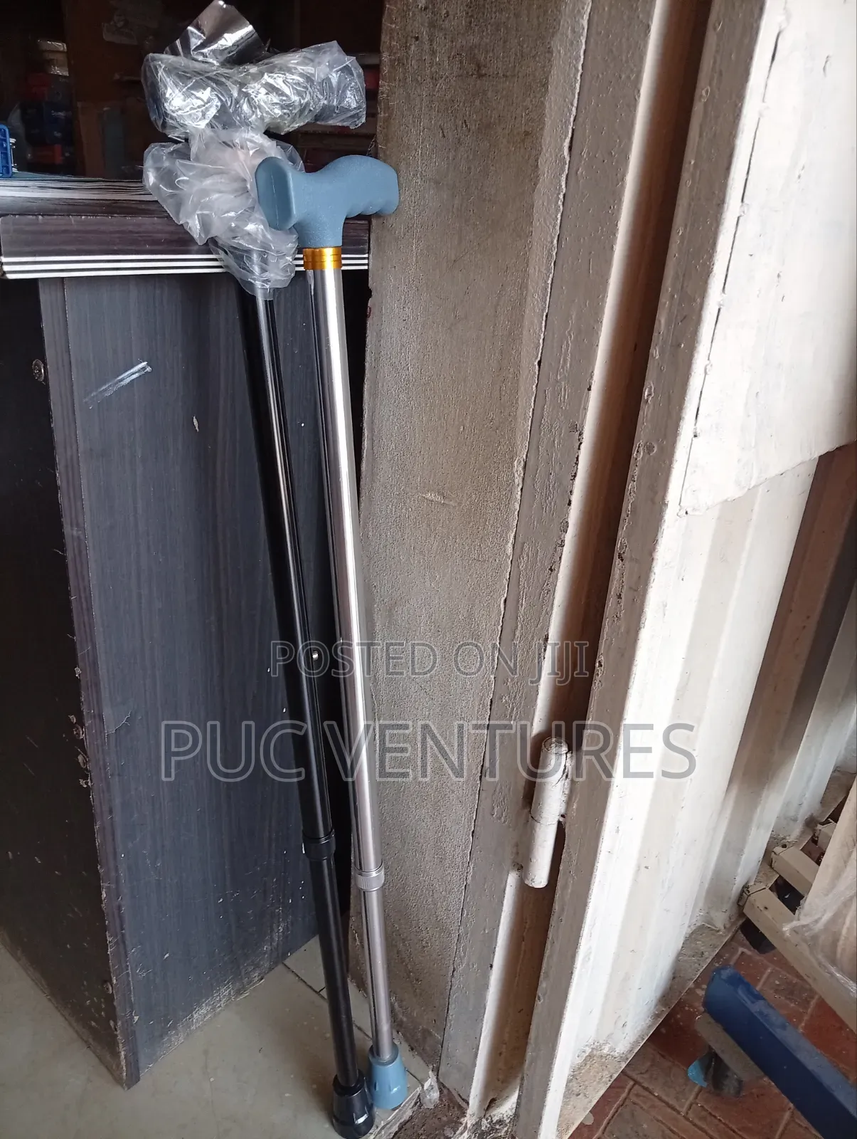 Walking Stick