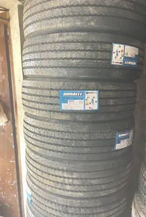 Annaite 285/70r19.5
