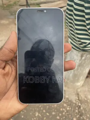Apple iPhone 12 Pro 128 GB Gray