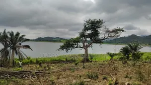 VOLTA REGION, (TONGOR-KAIRA) _ 10 Plots (1.52 Acres) Riverfront Land