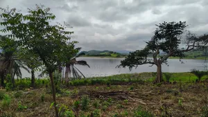 VOLTA REGION, (TONGOR-KAIRA) _ 10 Plots (1.52 Acres) Riverfront Land