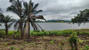 VOLTA REGION, (TONGOR-KAIRA) _ 10 Plots (1.52 Acres) Riverfront Land