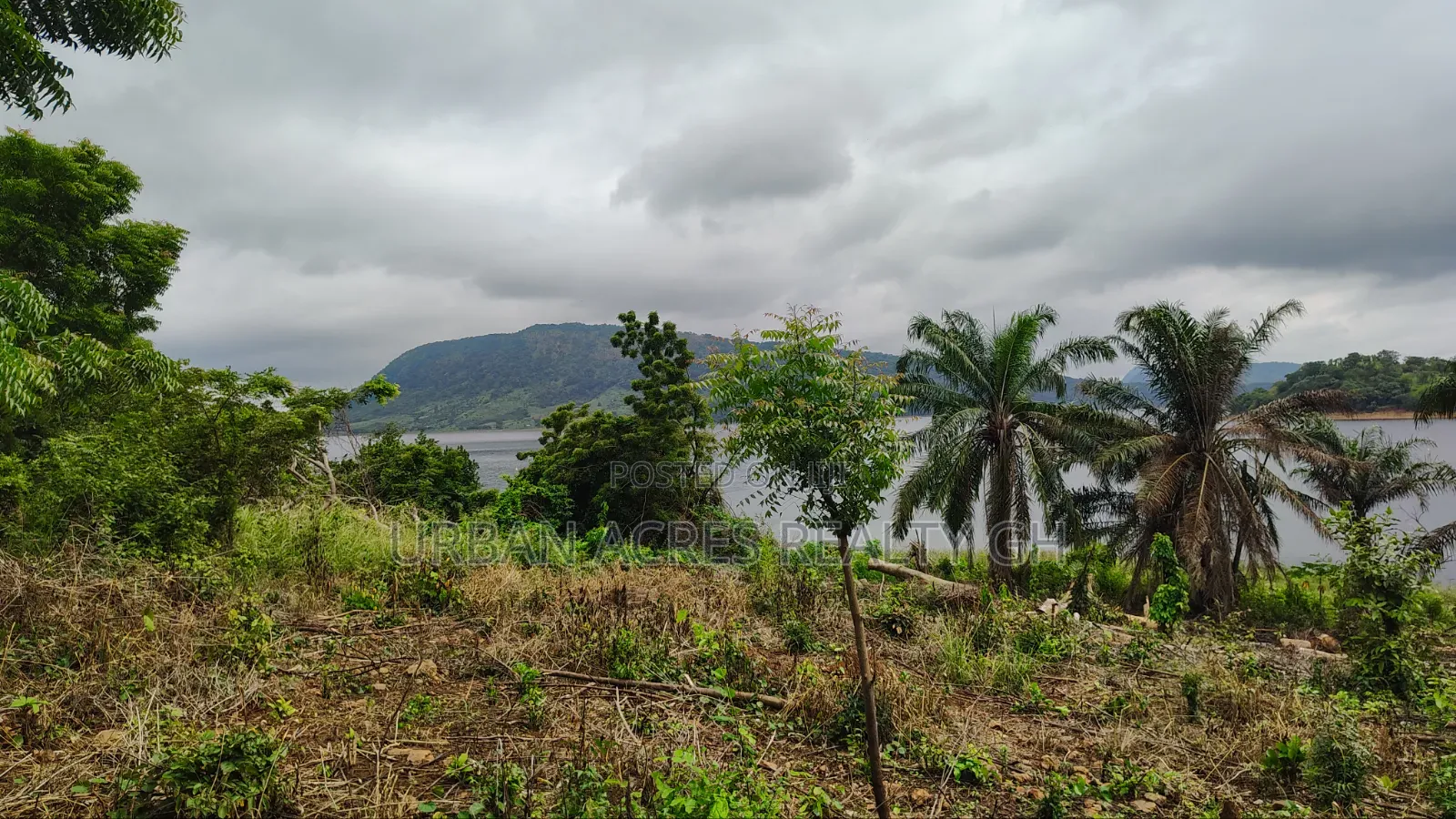 VOLTA REGION, (TONGOR-KAIRA) _ 10 Plots (1.52 Acres) Riverfront Land