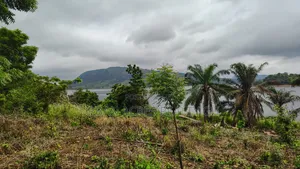 VOLTA REGION, (TONGOR-KAIRA) _ 10 Plots (1.52 Acres) Riverfront Land