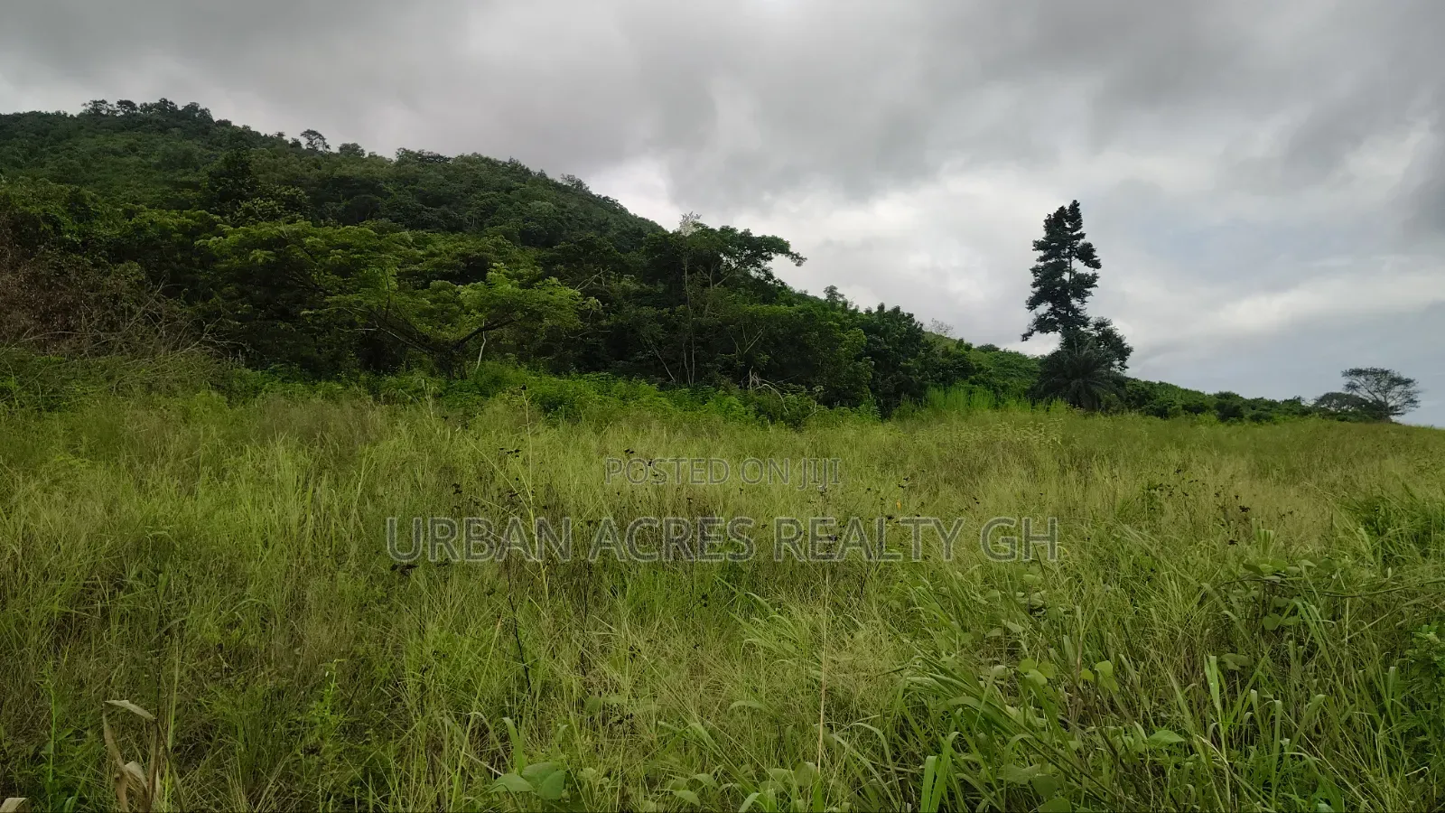 VOLTA REGION, (TONGOR-KAIRA) _ 10 Plots (1.52 Acres) Riverfront Land