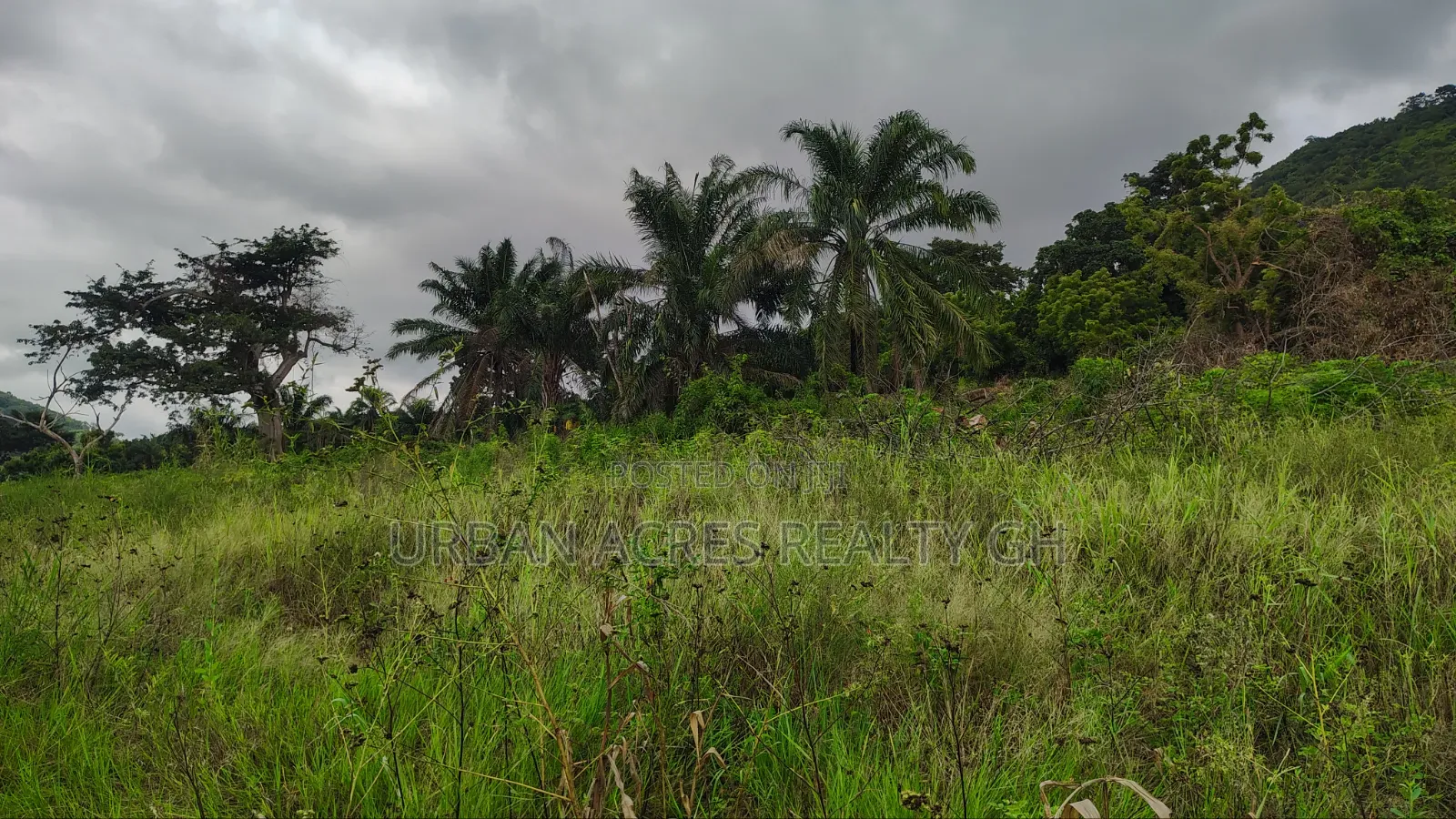 VOLTA REGION, (TONGOR-KAIRA) _ 10 Plots (1.52 Acres) Riverfront Land