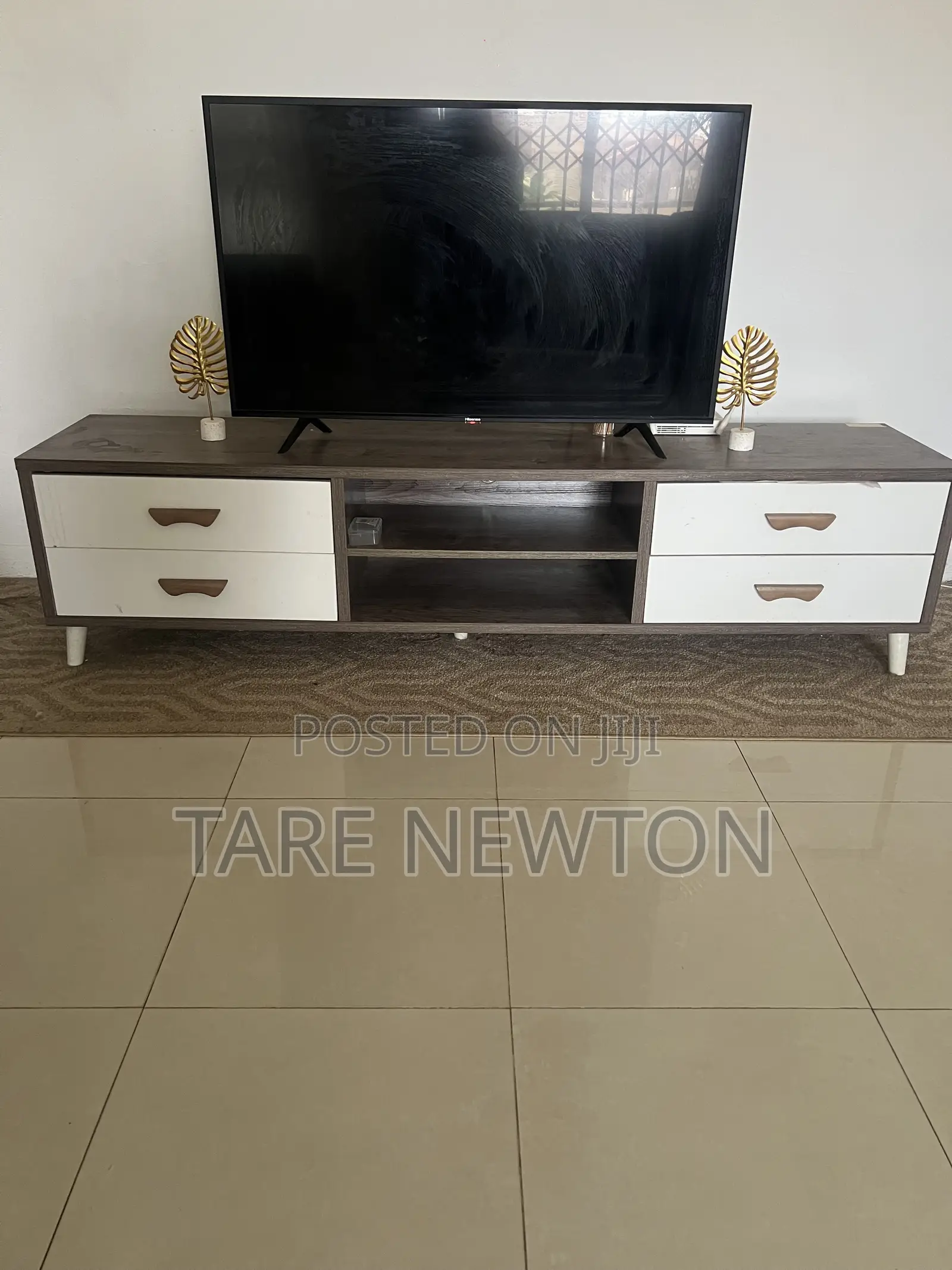 TV Console and Rug