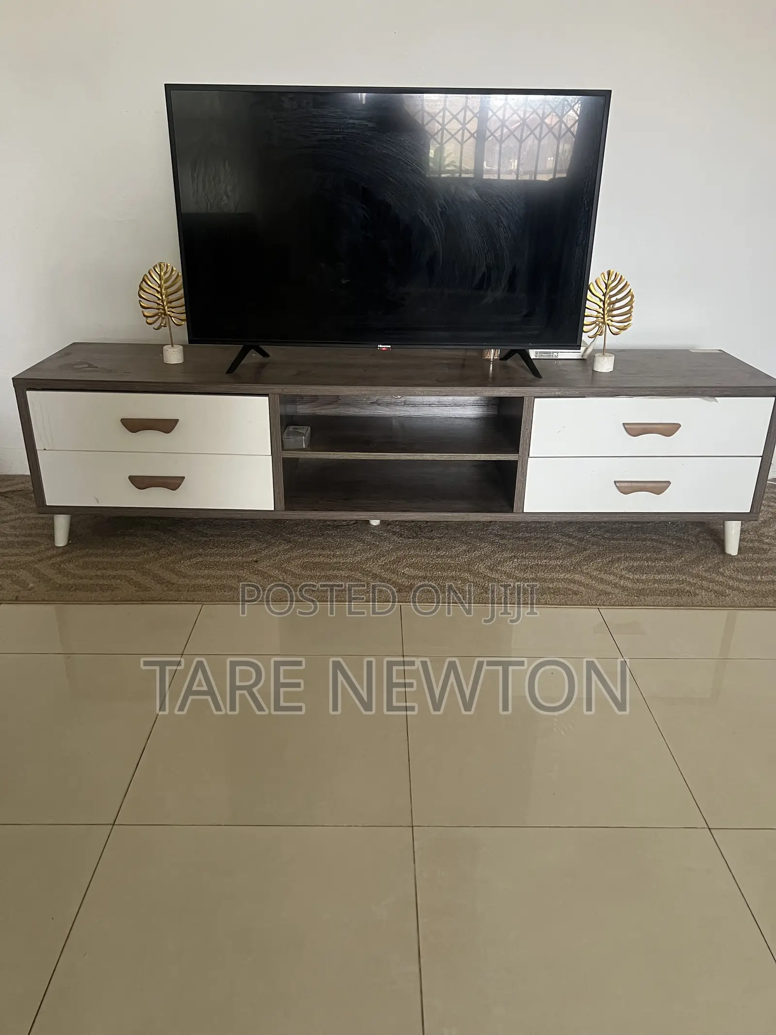TV Console and Rug
