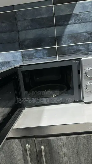 Electric Microwave