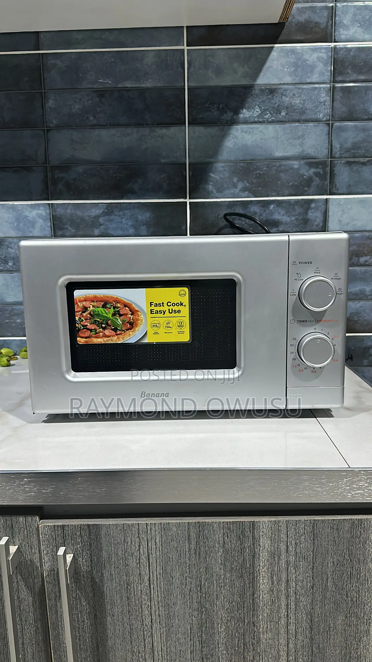 Electric Microwave