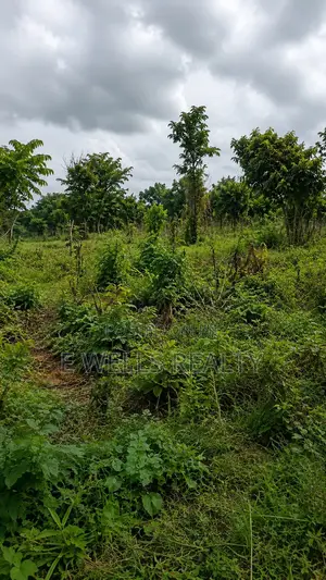 Land for Sale in Benkum