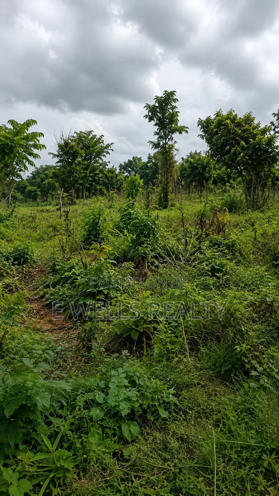 Land for Sale in Benkum