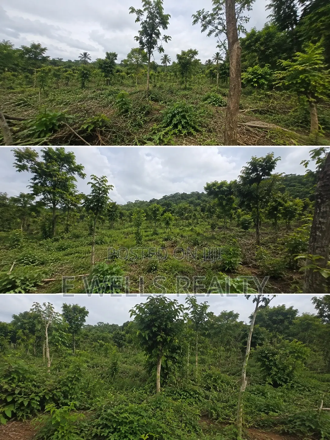 Land for Sale in Benkum