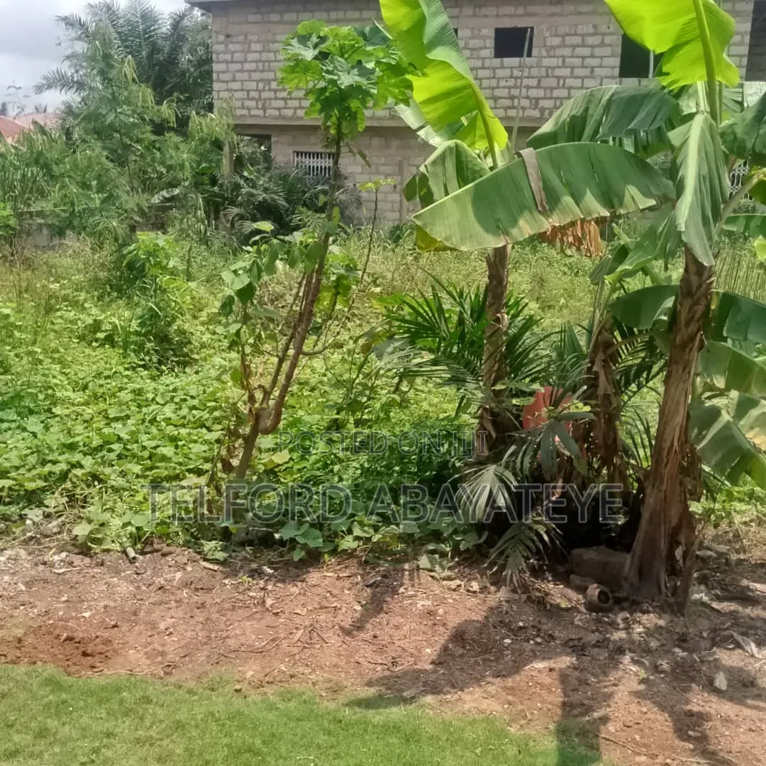 Estates Land for Sale