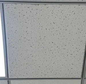 Acoustic Ceiling Tiles Mineral Fibre 60x60
