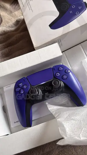 PS5 Controller
