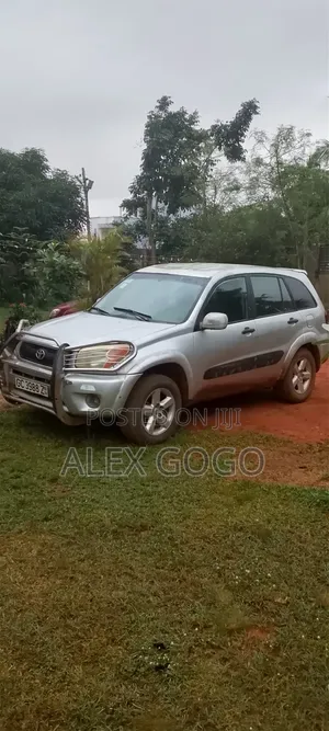 Toyota RAV4 2005 Gray