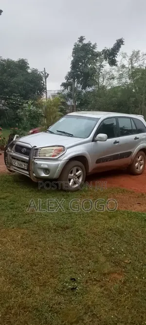 Toyota RAV4 2005 Gray